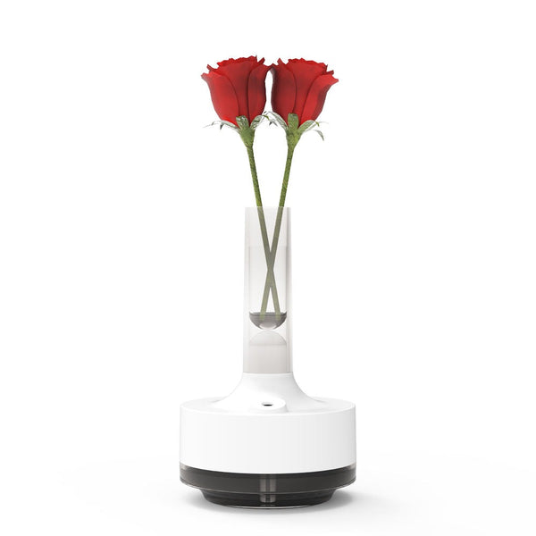 Time Vase Humidifier SKU: WB-UA1589